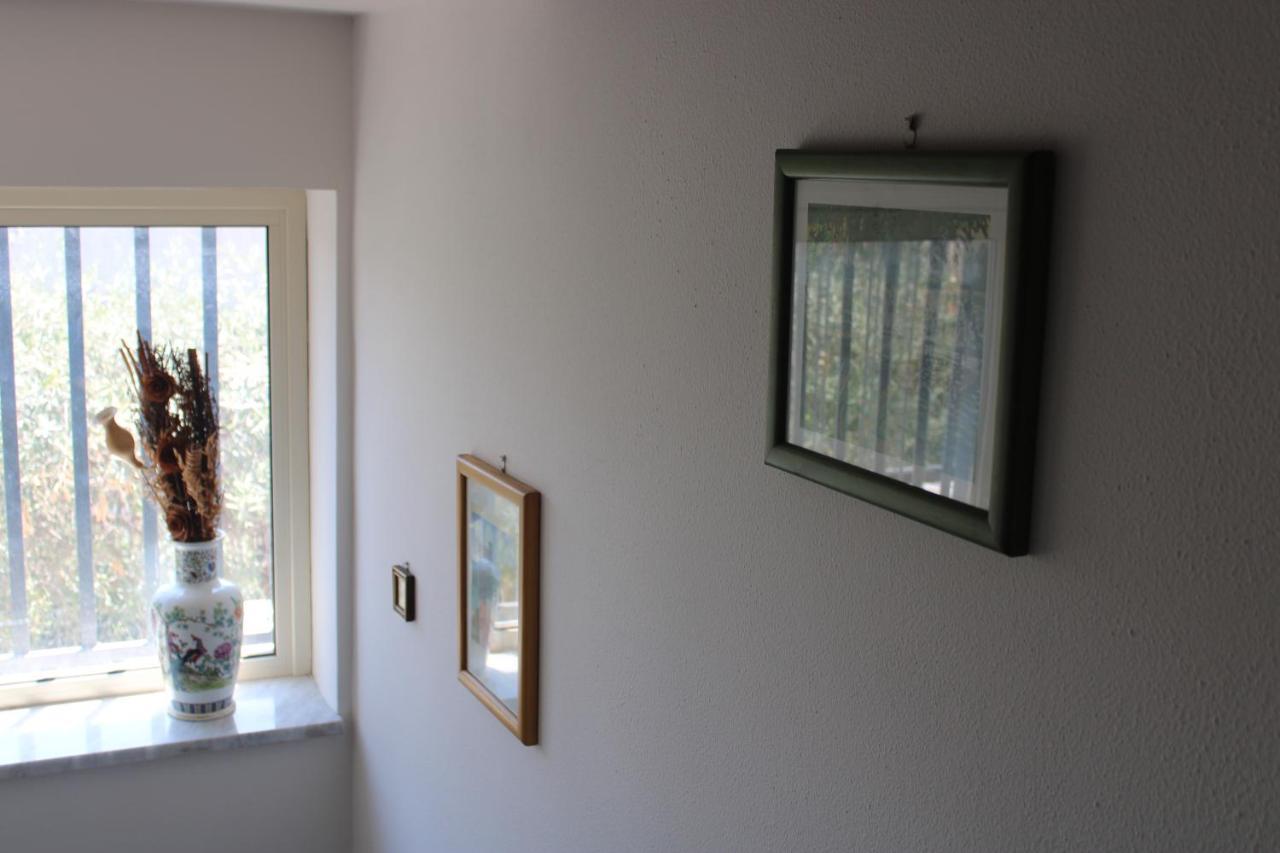 Villa Sicilia Apartment Catane Extérieur photo